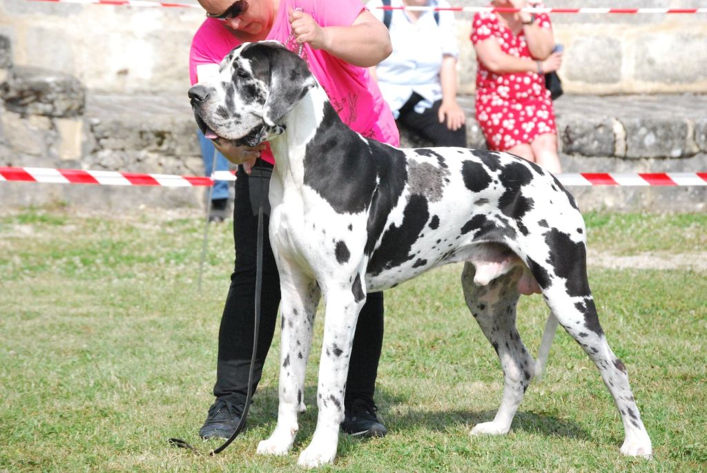 Offenbach du Domaine du Jardin du Dogue